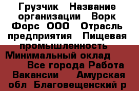 Грузчик › Название организации ­ Ворк Форс, ООО › Отрасль предприятия ­ Пищевая промышленность › Минимальный оклад ­ 25 000 - Все города Работа » Вакансии   . Амурская обл.,Благовещенский р-н